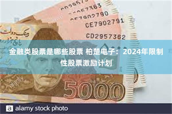 金融类股票是哪些股票 柏楚电子：2024年限制性股票激励计划